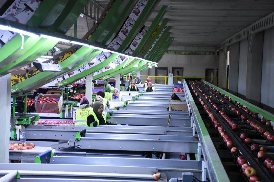 Modern tesis kurdu: Yetiştirdiği meyve 21 ülkede kapış kapış satıldı 1